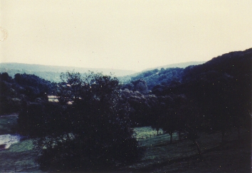 Apple Orchard in Hoesdorf, 1984